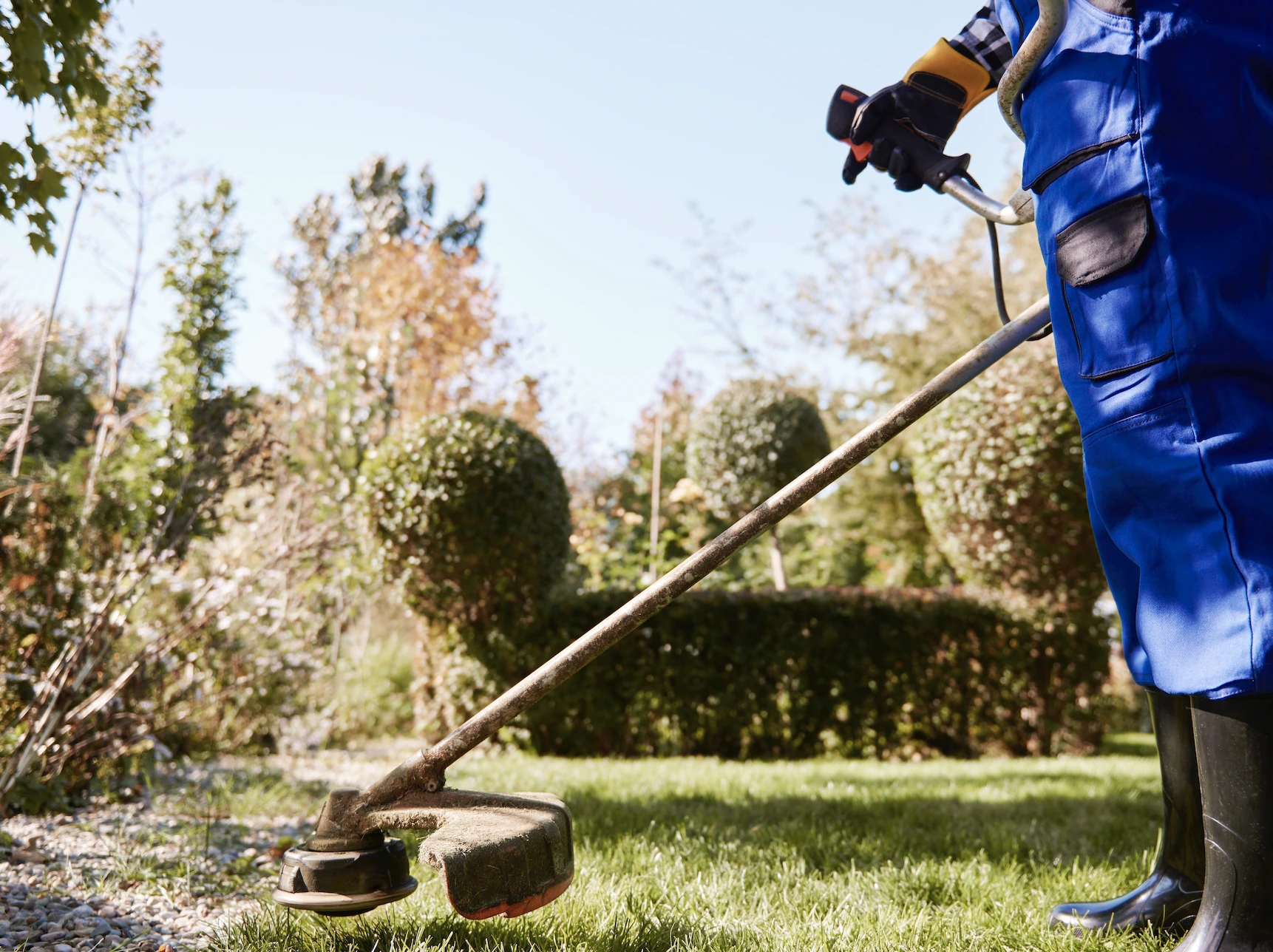 servicios.titulos.jardineria